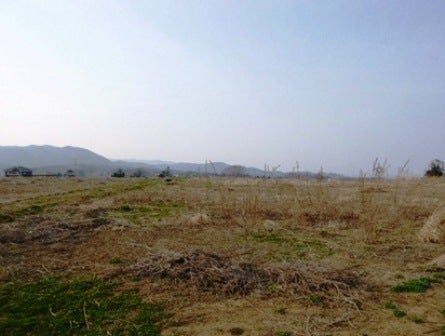 デジタルアーカイブ:20140418_M089.jpg