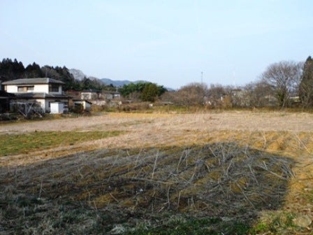 デジタルアーカイブ:20140418_M122.jpg