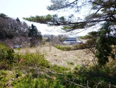 デジタルアーカイブ:20140418_M134_1.jpg