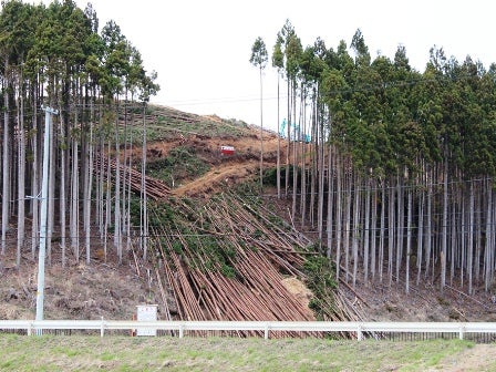 デジタルアーカイブ:20140418_M256.jpg