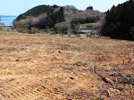 デジタルアーカイブ:20140424_M249.jpg