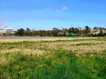 デジタルアーカイブ:20140502_M066.jpg