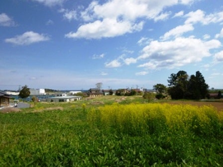 デジタルアーカイブ:20140519_M076.jpg