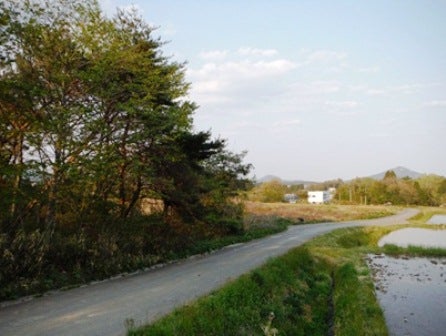 デジタルアーカイブ:20140519_M130.jpg