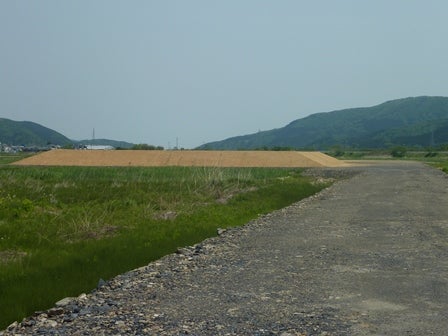 デジタルアーカイブ:20140520_M148.jpg