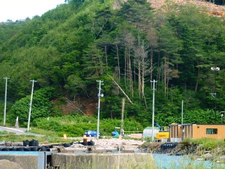 デジタルアーカイブ:20140613_M279.jpg