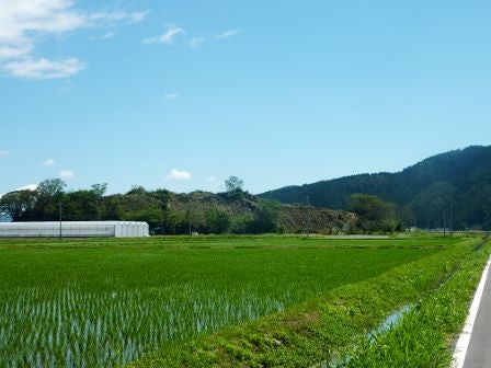 デジタルアーカイブ:20140613_M297.jpg