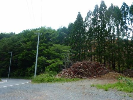 デジタルアーカイブ:20140613_M298.jpg