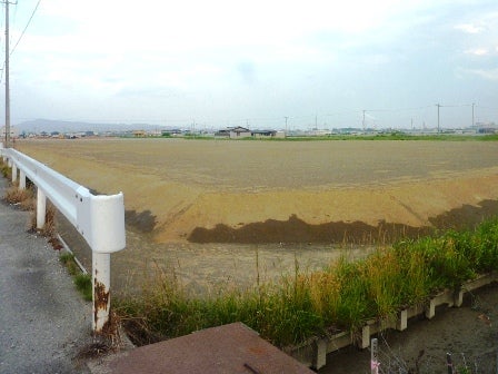 デジタルアーカイブ:20140619_M116.jpg