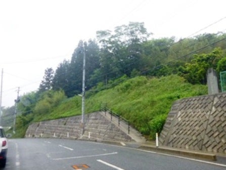 デジタルアーカイブ:20140620_M075.jpg