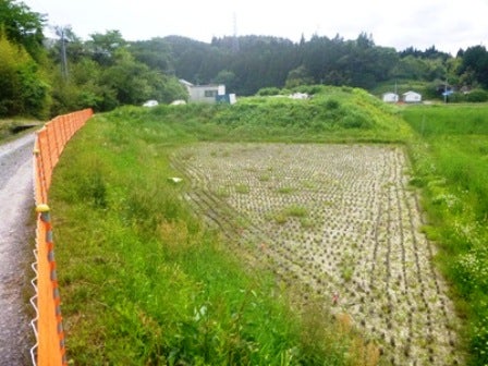 デジタルアーカイブ:20140620_M078.jpg