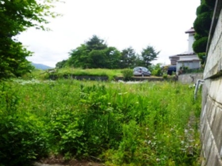 デジタルアーカイブ:20140620_M124.jpg