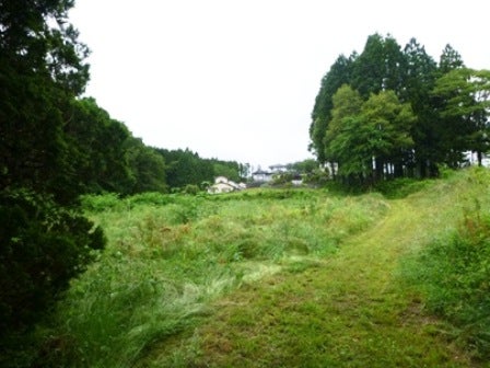 デジタルアーカイブ:20140620_M125.jpg
