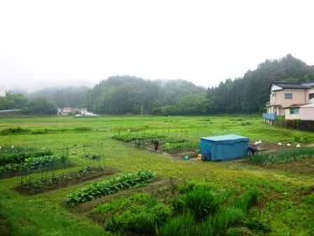 デジタルアーカイブ:20140620_M126.jpg