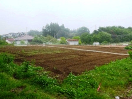 デジタルアーカイブ:20140620_M133.jpg
