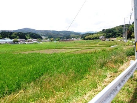 デジタルアーカイブ:20140620_M142.jpg