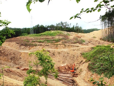 デジタルアーカイブ:20140627_M257.jpg