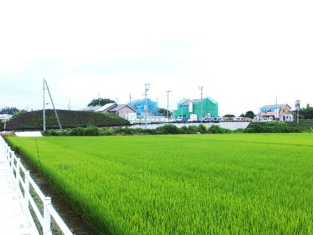 デジタルアーカイブ:20140717_M155.jpg