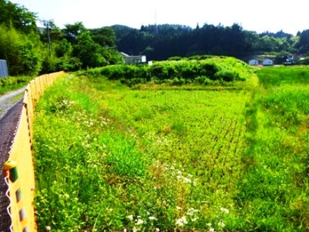 デジタルアーカイブ:20140718_M078.jpg