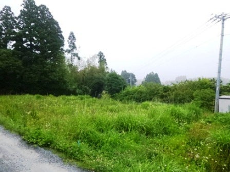 デジタルアーカイブ:20140718_M123.jpg