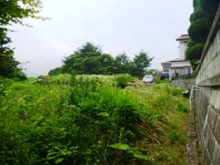 デジタルアーカイブ:20140718_M124.jpg