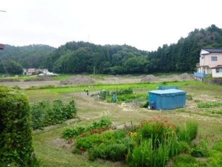 デジタルアーカイブ:20140718_M126.jpg