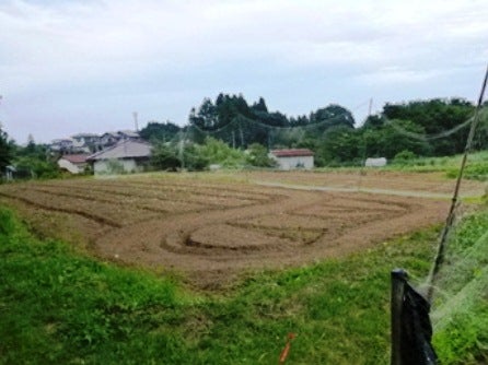 デジタルアーカイブ:20140718_M133.jpg