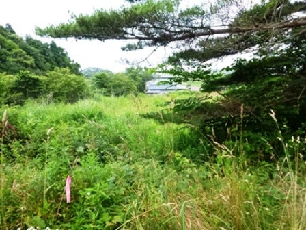 デジタルアーカイブ:20140718_M134_1.jpg
