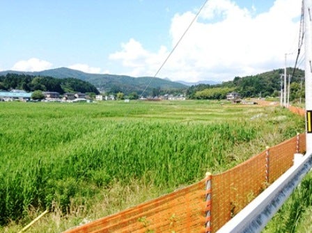 デジタルアーカイブ:20140718_M142.jpg