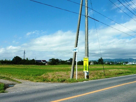 デジタルアーカイブ:20140721_M151.jpg