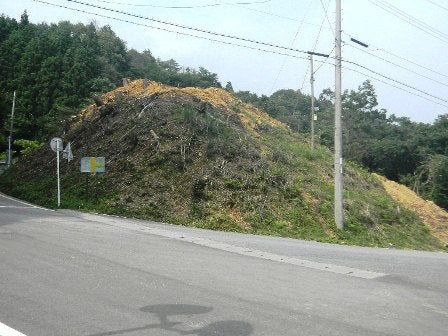 デジタルアーカイブ:20140723_M281_2.jpg