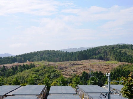 デジタルアーカイブ:20140819_M254.jpg
