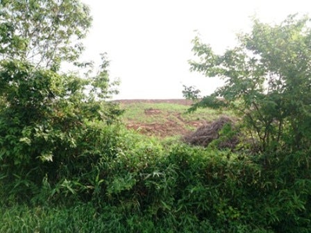 デジタルアーカイブ:20140820_M087.jpg