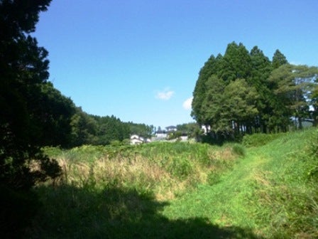 デジタルアーカイブ:20140820_M125.jpg