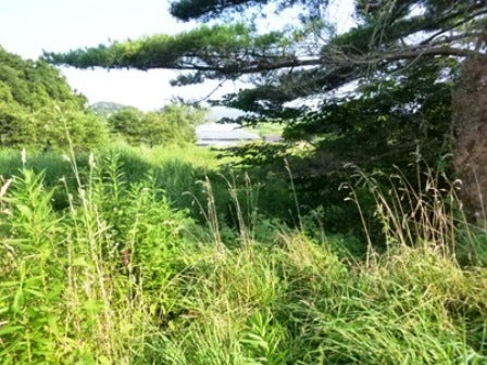 デジタルアーカイブ:20140820_M134_1.jpg