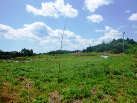 デジタルアーカイブ:20140820_M136_1.jpg