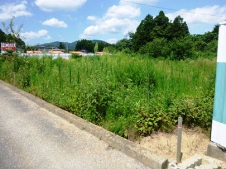 デジタルアーカイブ:20140820_M136_2.jpg