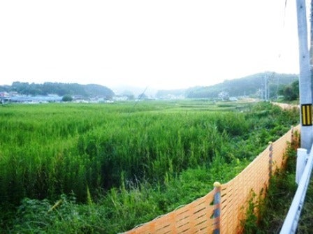 デジタルアーカイブ:20140820_M142.jpg