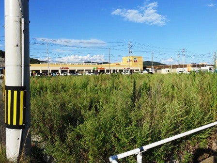 デジタルアーカイブ:20140916_M289.jpg