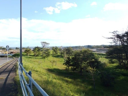 デジタルアーカイブ:20140919_M024.jpg