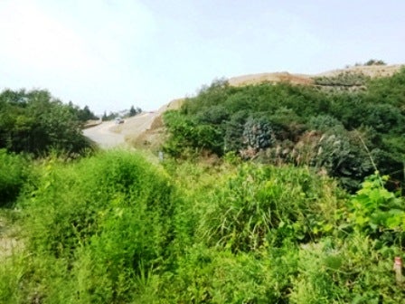 デジタルアーカイブ:20140919_M072.jpg