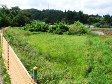 デジタルアーカイブ:20140919_M078.jpg