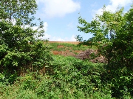 デジタルアーカイブ:20140919_M087.jpg