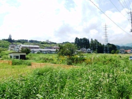 デジタルアーカイブ:20140919_M132.jpg