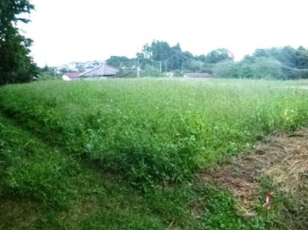 デジタルアーカイブ:20140919_M133.jpg