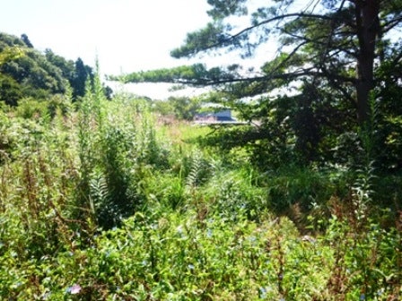 デジタルアーカイブ:20140919_M134_1.jpg