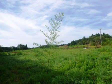デジタルアーカイブ:20140919_M136_1.jpg