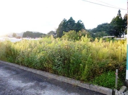 デジタルアーカイブ:20140919_M136_2.jpg