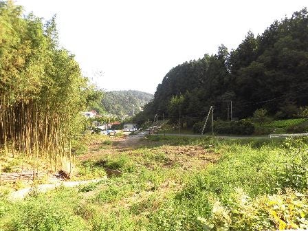 デジタルアーカイブ:20140928_M231.jpg