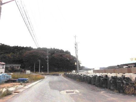 デジタルアーカイブ:20141005_M284_2.jpg